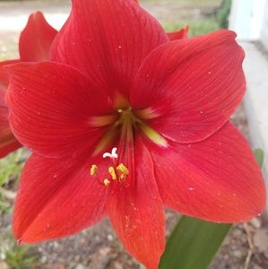 Meet your Posher, Martha